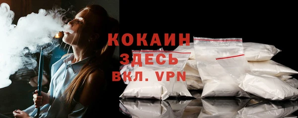 шишки Аша