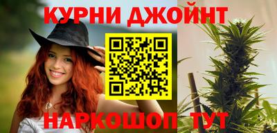 индика Гусев