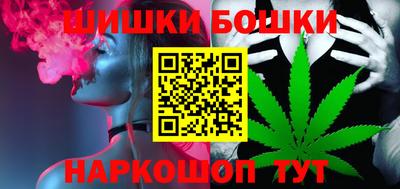 индика Гусев
