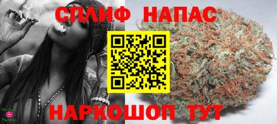 индика Гусев