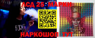 индика Гусев