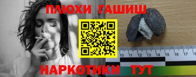 индика Гусев