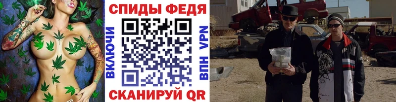 где купить   Сегежа  Первитин Methamphetamine 