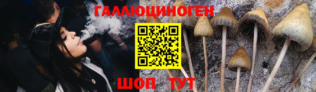цены   Вход с VPN  Сегежа  Псилоцибиновые грибы MAGIC MUSHROOMS 